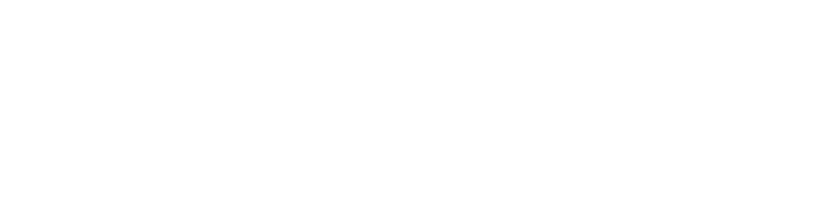 elnacon Logo